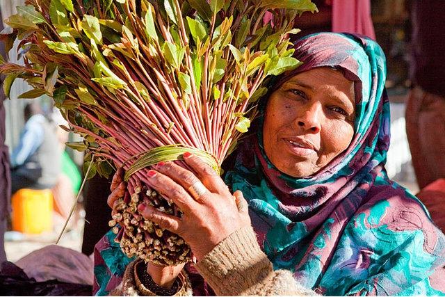 也门|这个被全世界遗忘的国家，正在“嚼死”自己