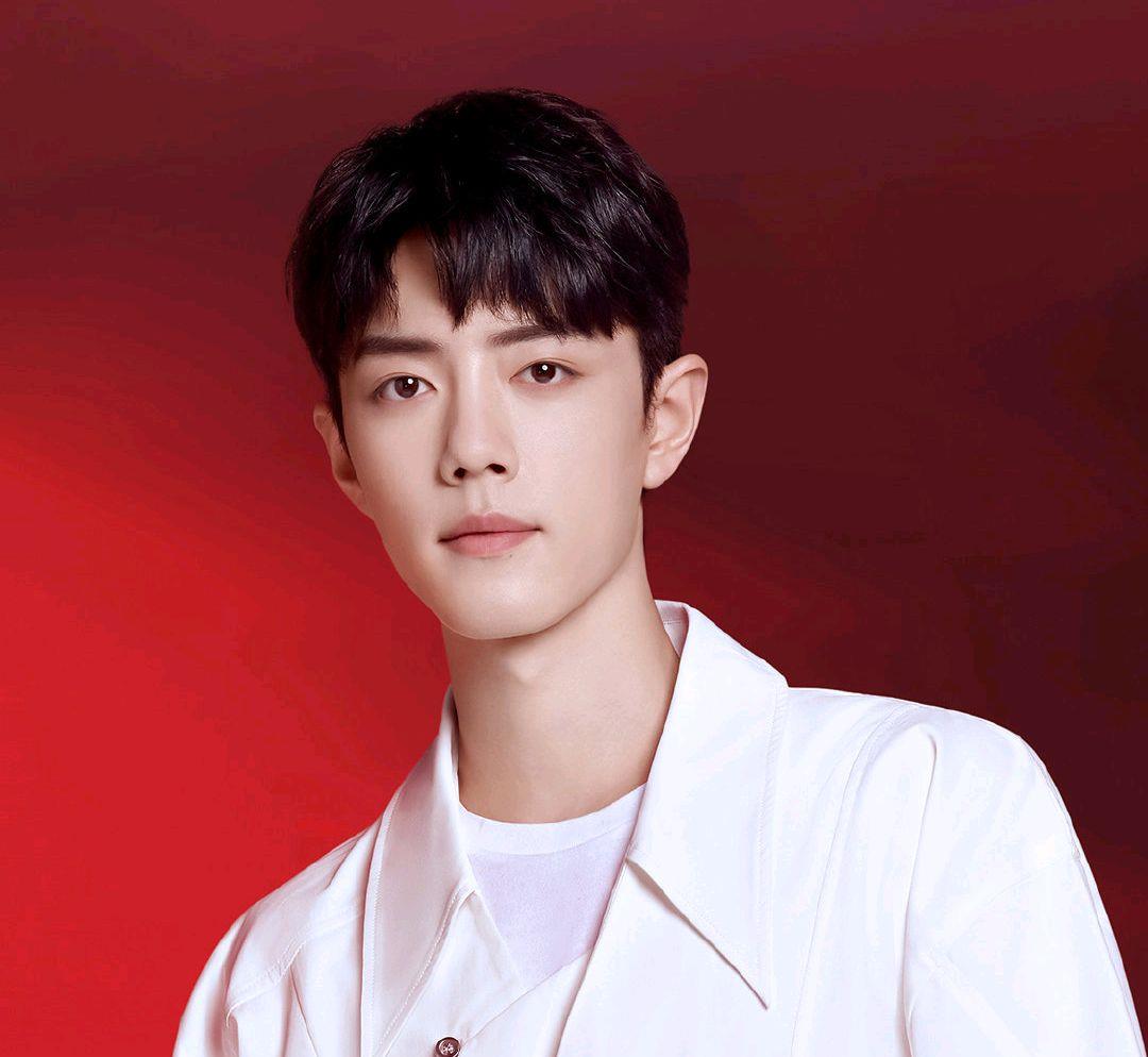 肖战|北京官媒询问粉丝是否抢到票，还预祝肖战顺顺利利，必定如此