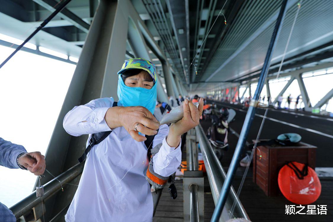 钓鱼|免费钓鱼天堂,梅山红桥花开成海,帆船和游艇通道应禁止钓鱼