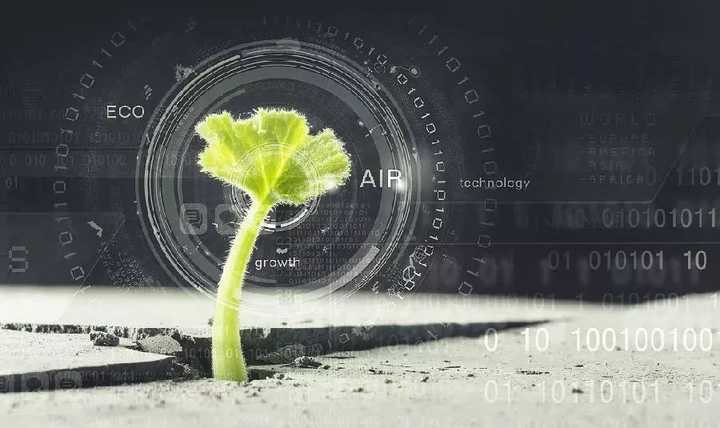 月壤 月壤也能种庄稼！嫦五带回的月壤能种小麦，开发月球不怕没粮食了