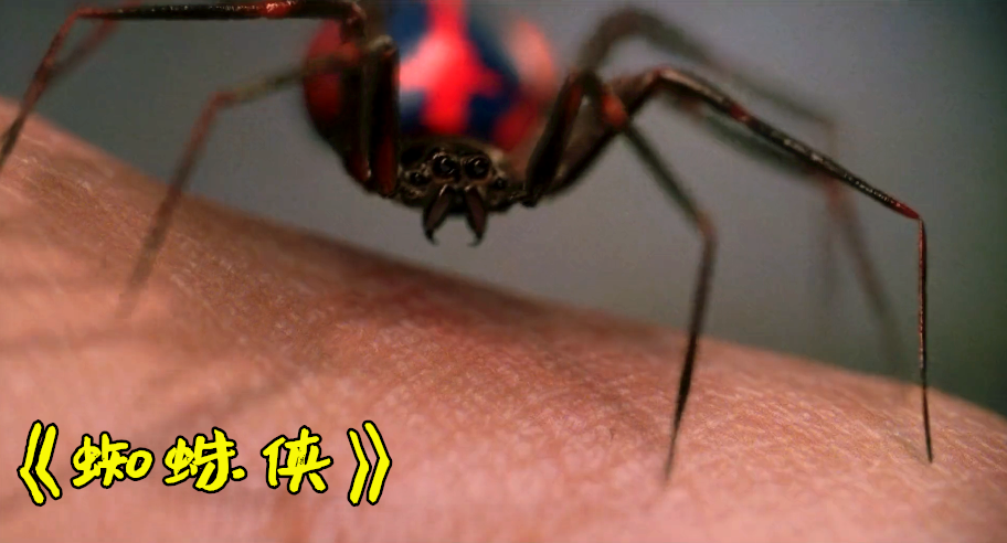 王牌部队icon|将彼得咬成蜘蛛侠的那只蜘蛛后来怎么样了?后续故事漫威都不敢拍