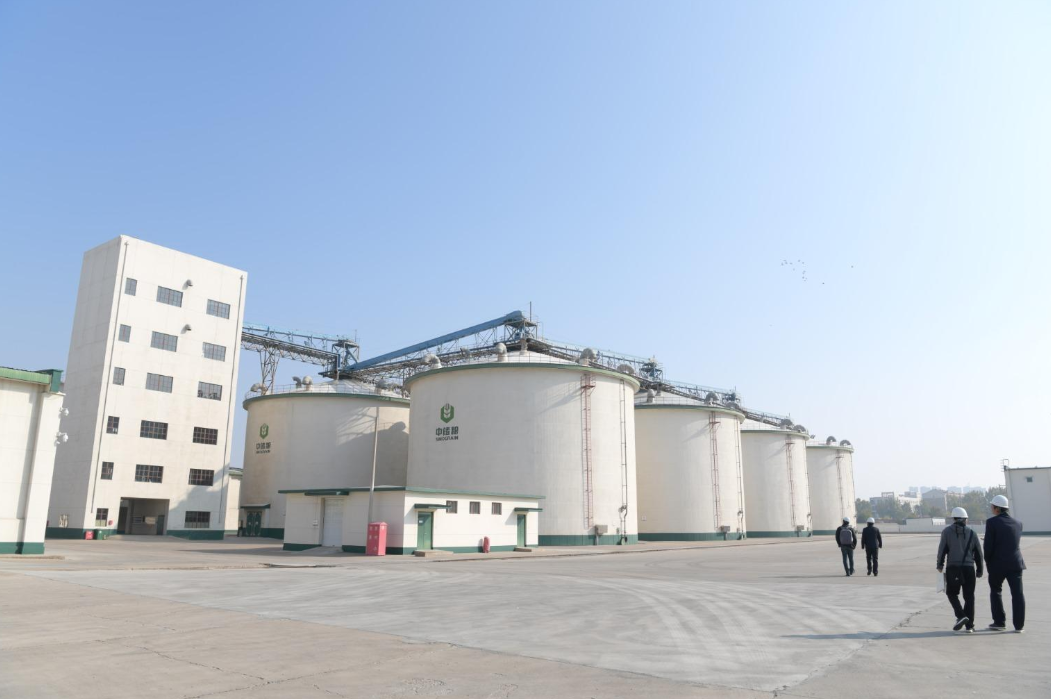 招聘|国企单位开始招聘了，六险二金福利好，专科生也能报考