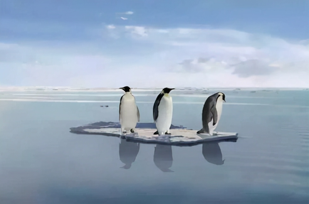 全球变暖 全球变暖终结，地球温度开始下降？科学家：人类文明将倒退数百年