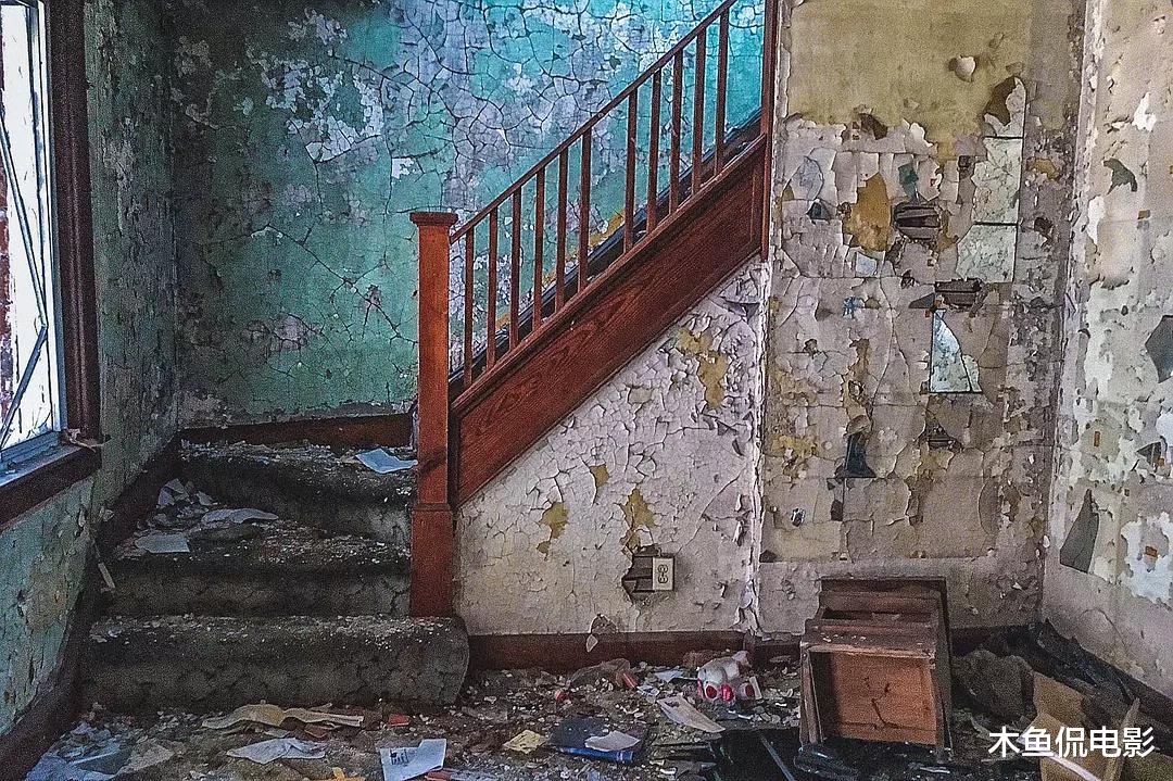 鲨鱼 倘若75亿人全部消失，地球会变成什么样？纪录片