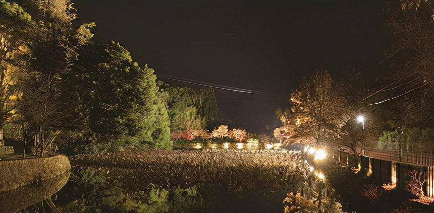 沙滩|「京都岚山花灯路」将停办！渡月桥、竹林小径点灯盛况成绝响？