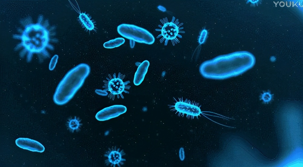 尹汪栎的小世界|有种“马虎”叫开水烫奶瓶，看似十分干净卫生，实则坑娃于无形