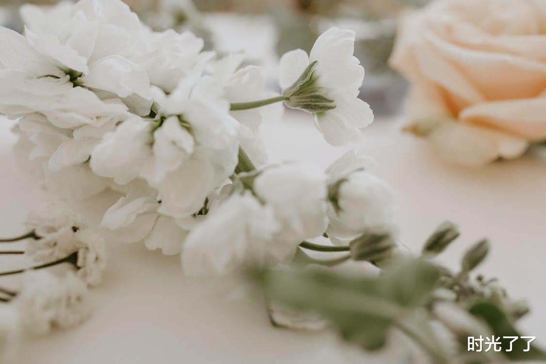 时光了了|总有一天你会明白：这一生，没有放不下的人