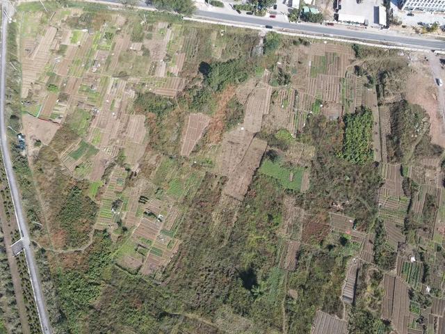 嘉兴|丽水联城一块地成功出让！未来将建丽水国际医学中心