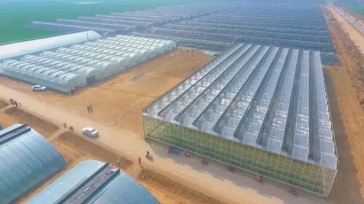 |骑马、真人游戏对抗、垂钓、游船,成武这里都能玩儿