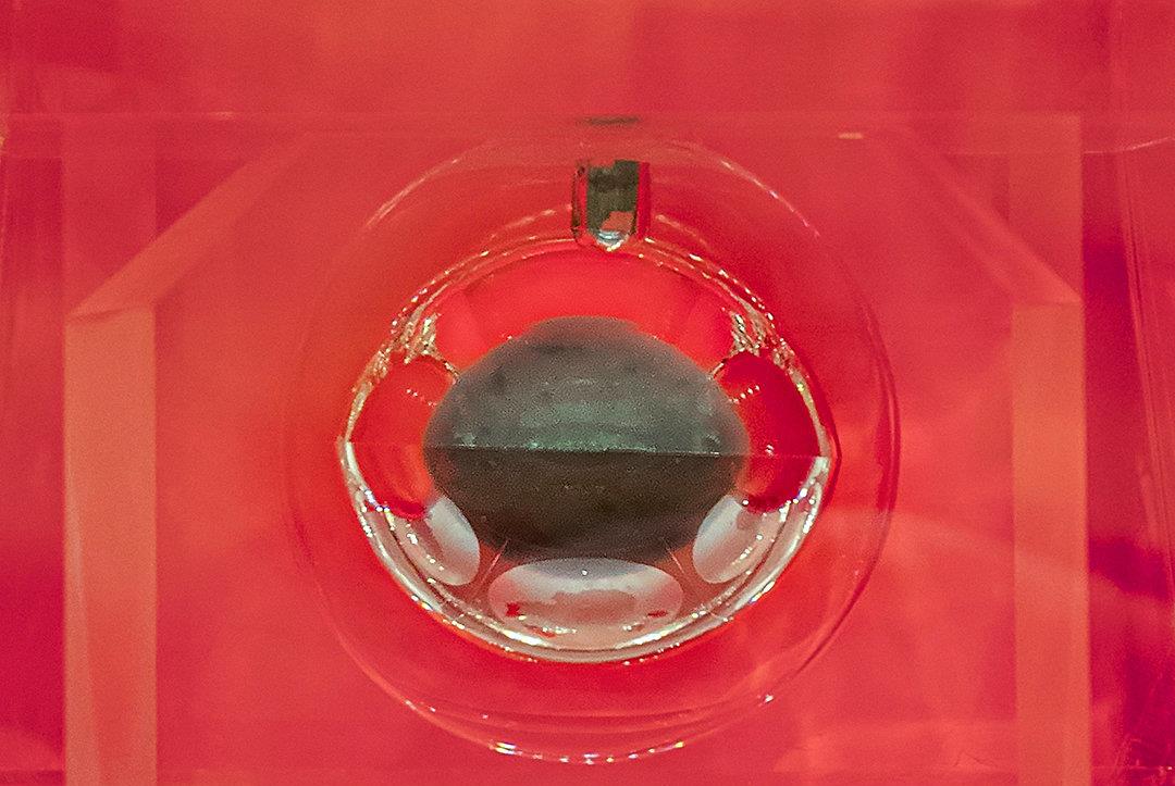 月球 氦一3，现在可以卖到每吨30亿美元？为何如此昂贵？有什么作用