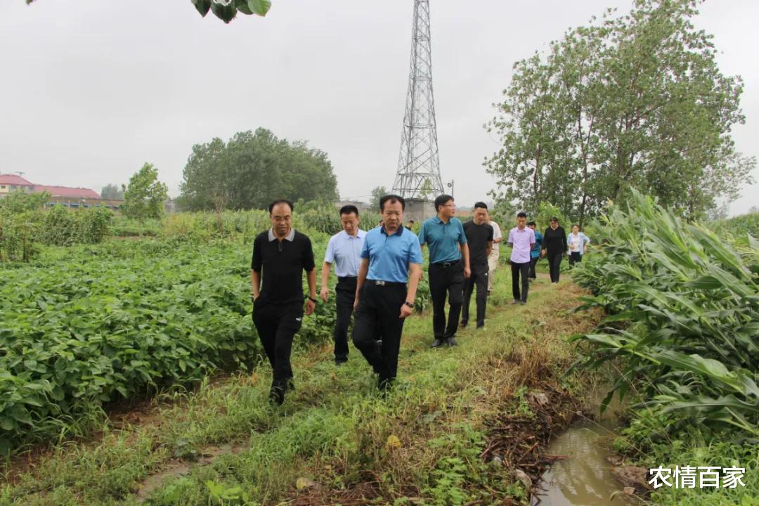 宅基地|农村家家户户被测量土地、房屋，究竟有什么目的？农民应知道
