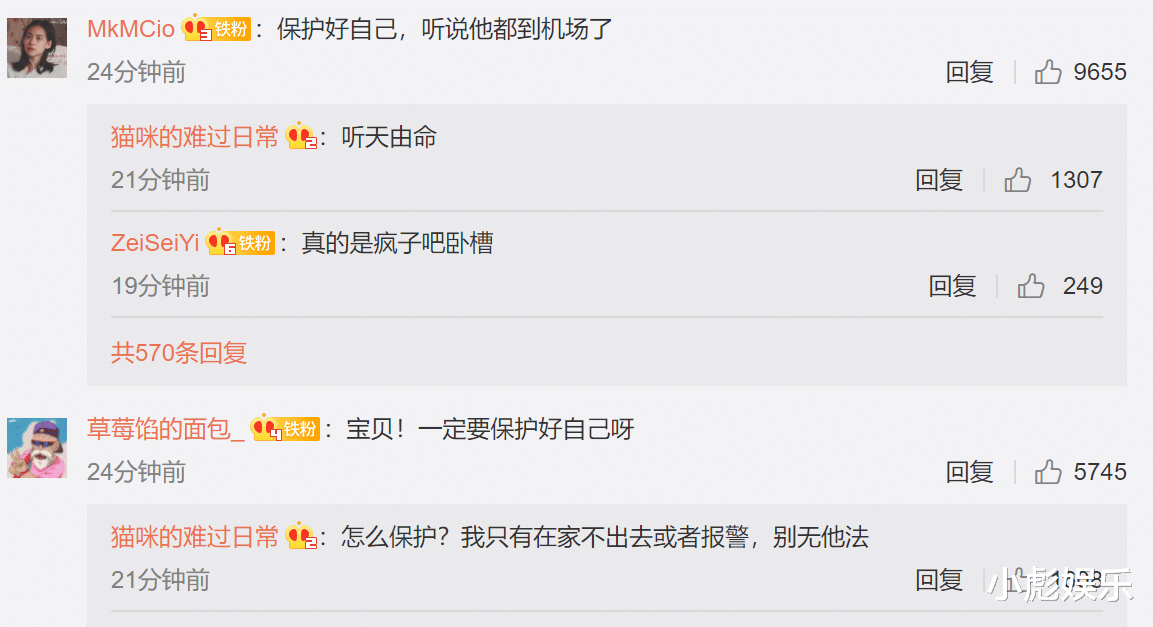 王思聪|“99年的我玩不过”被喷国民舔狗后王思聪官宣认栽：没能力翻盘了