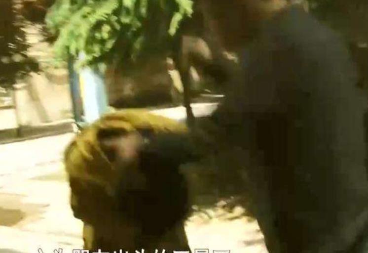 王晨正|变形计最苦的善良爷爷:早年丧妻,老年丧子,晚年丧孙