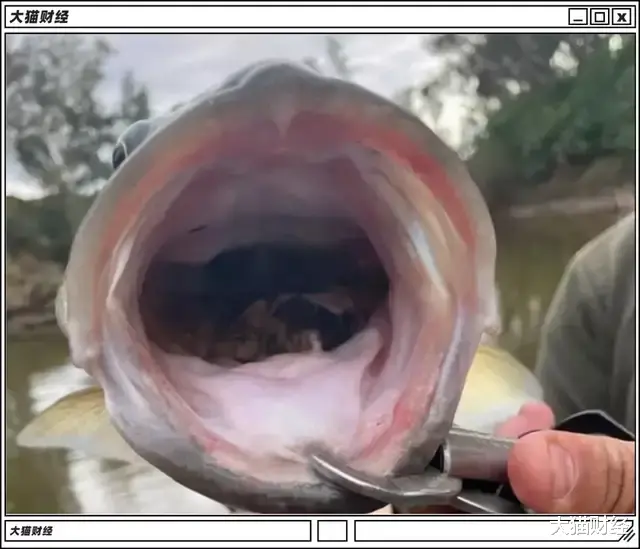  全球大怪象！地球进入狂暴模式，会不会是未来的日常