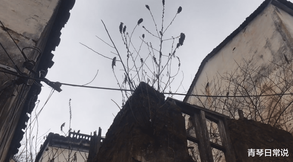 青琴日常说 安徽一个曾有上千人生活的村子，十年里只余一两人，全因后面的山