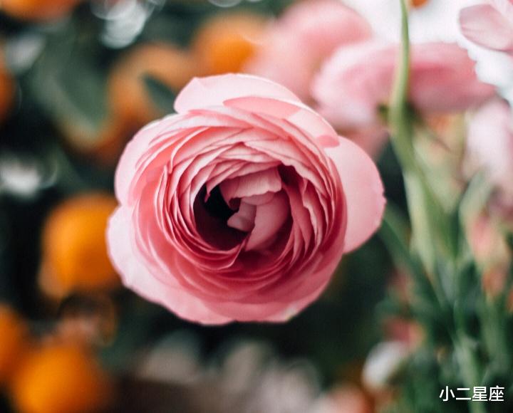 小二星座 “聪明伶俐”,情商高的星座,其实他们什么都懂,只是看穿不说穿