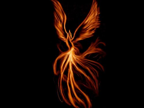 菜菜叶|丹穴之山,有鸟焉,世界上最后一只凤凰未解之谜