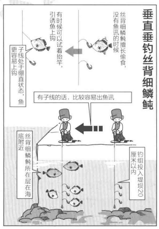 海钓|海钓剥皮鱼马面鱼，垂直和投钓两种法最有效，日本专业海钓入门投