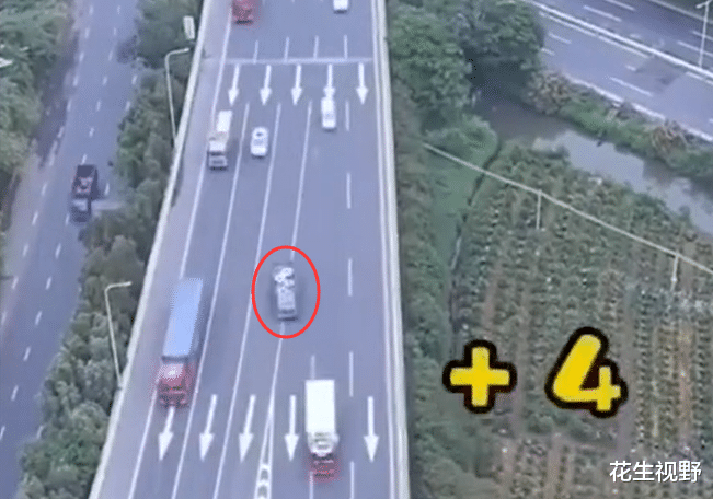 花生视野 佛山一高速岔路口标线遭质疑,62万人被罚款1.2亿,3分钟27人违章