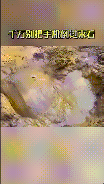 小娱儿花无缺 “以前租客留下来的物件，打扫卫生时床底下发现的，这该咋处理”，哈哈哈！