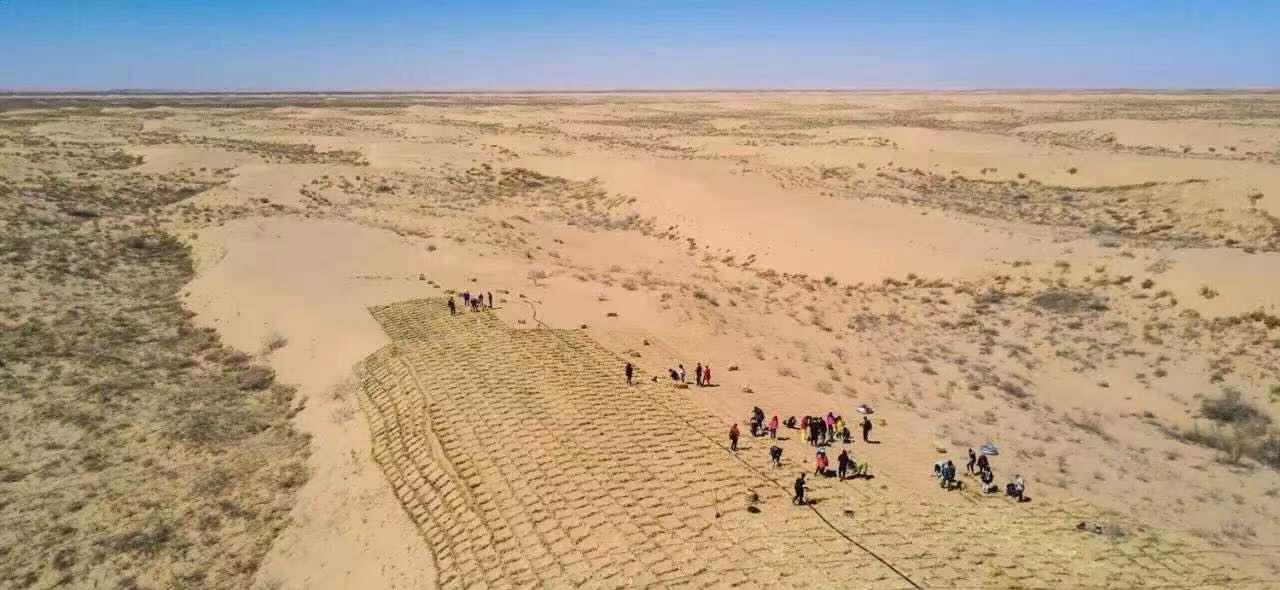 二氧化碳 将全球的沙漠都种满树，会发生什么？专家：后果恐难承受