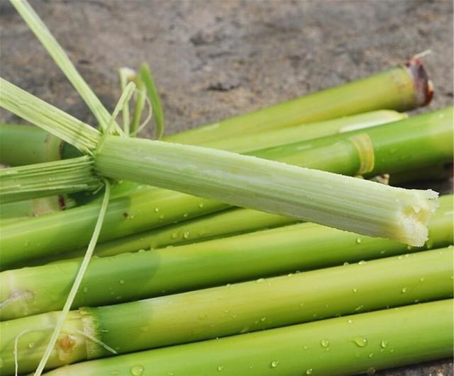 为娃学画丫|几年前的“香饽饽”，如今2元一根却无人问津，种植户无奈弃种