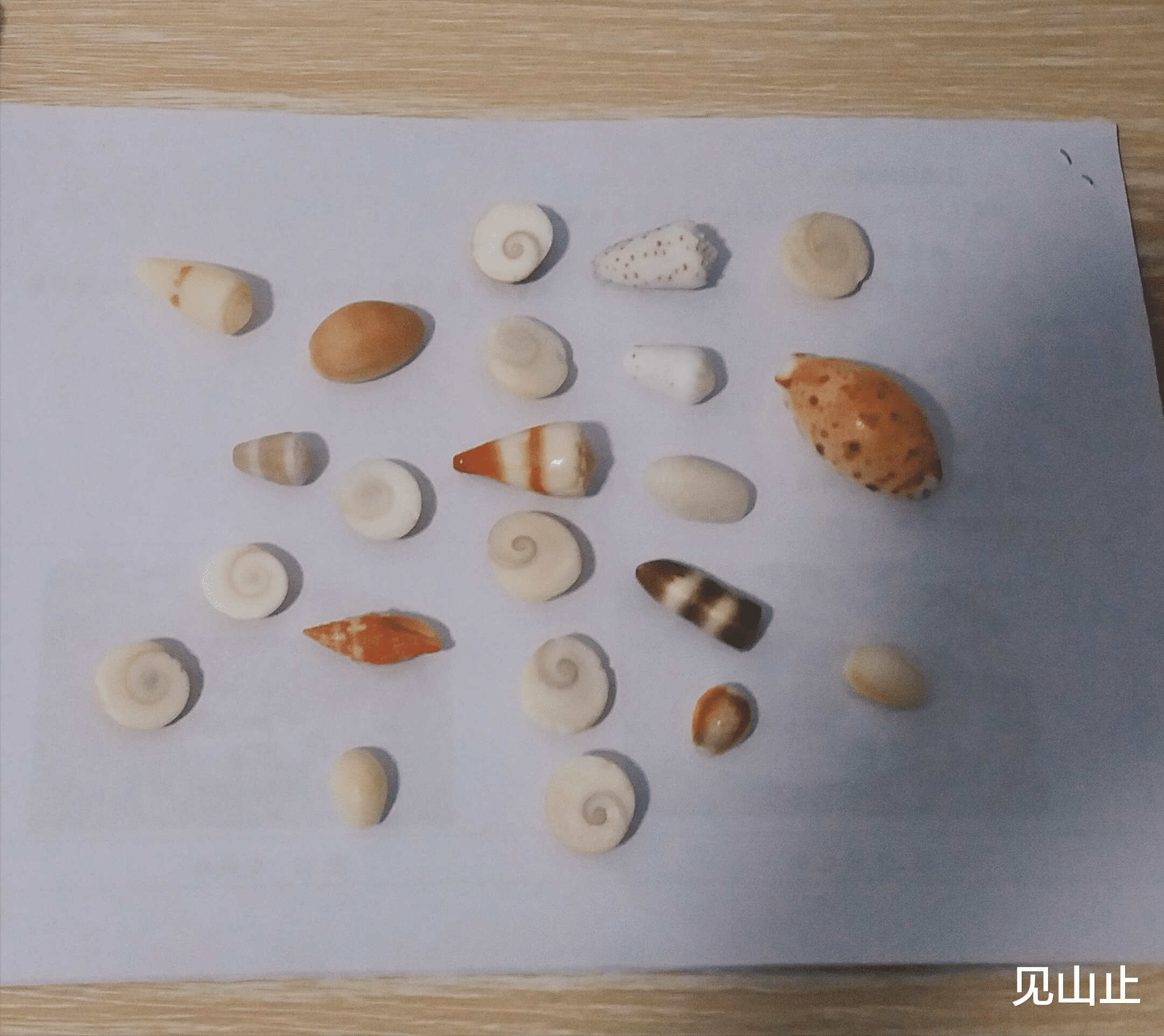 宝石|生命就是一场捡石之旅