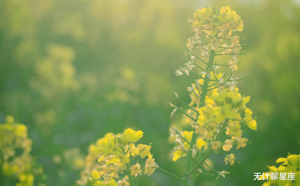 星座男|新的一年，前途光明、值得信赖的4个星座男，有进取心，不断打拼