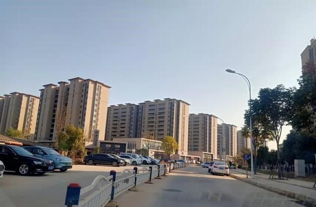 |武汉郊区的马路，让地产商代为建设，是好事还是坏事呢？