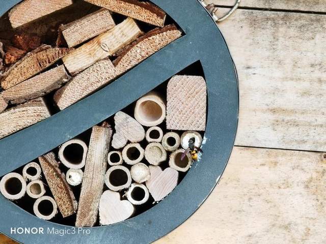 社会养老 大气与质感并存，荣耀Magic3 Pro手机评测体验，值得买吗？