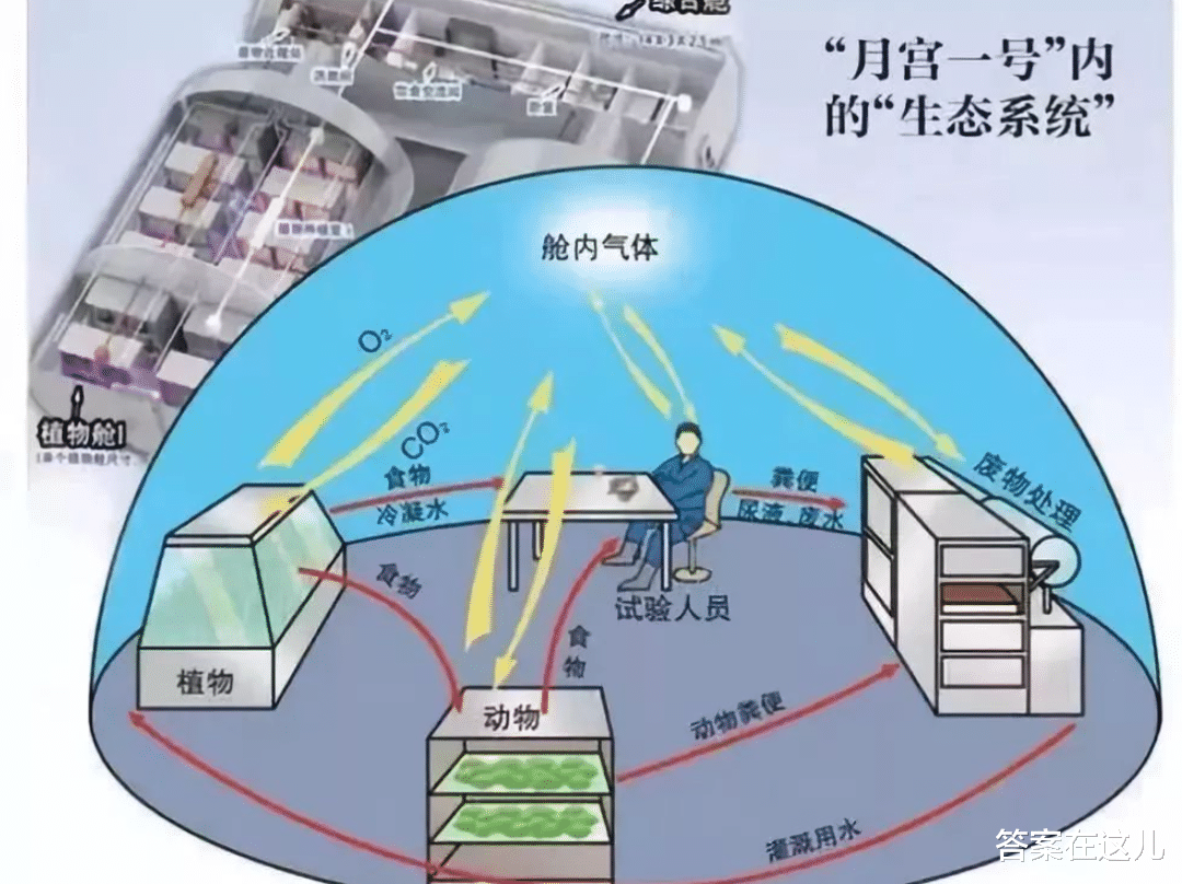 人类能复制地球环境吗？4男4女进行封闭空间实验，答案如何？