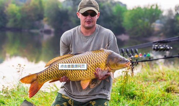 |常见却很有用的钓鱼方法技巧，学会让你成为钓鱼高手——盛世三渔
