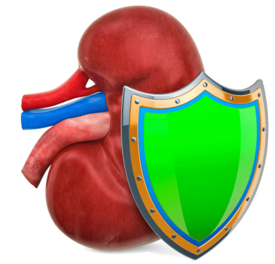 肾病|肾病不能根治，但能达到“完全缓解”？做好4点不难达标