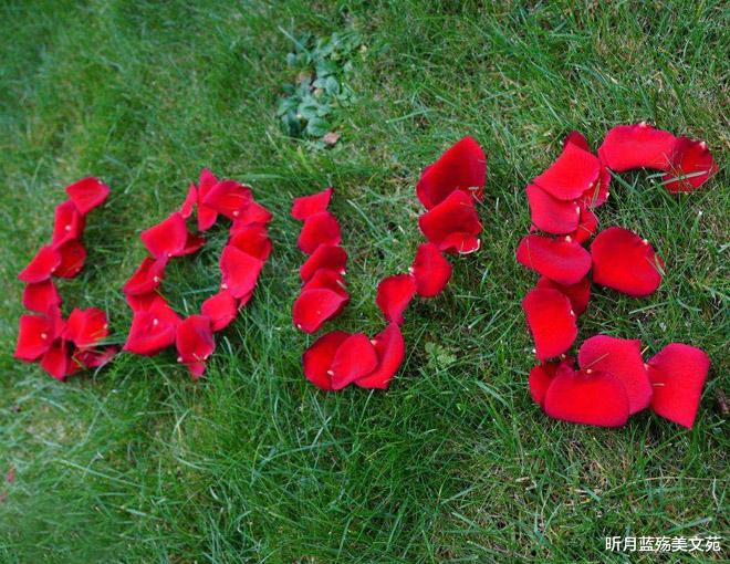 昕月蓝殇美文苑|有一种真爱,叫莫失莫忘