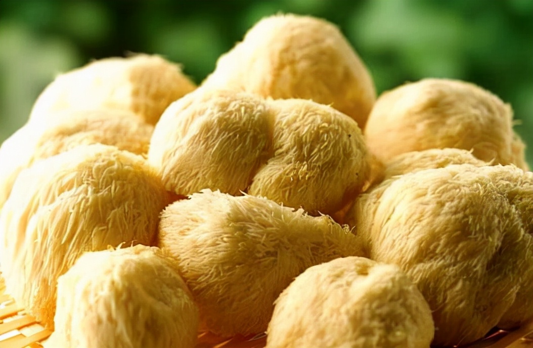 胃癌|多家医院联合呼吁：“1南瓜”吃1口抵十斤猪油，不想“胃癌缠身”趁早丢