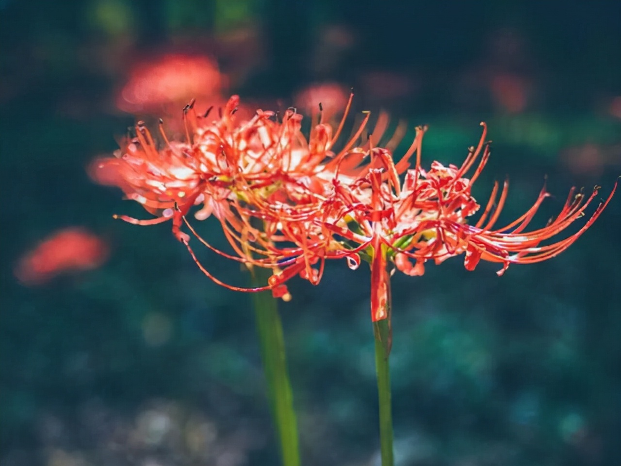 星座师安达|金牛座再爱一个人，也不会失去的原则有哪些？