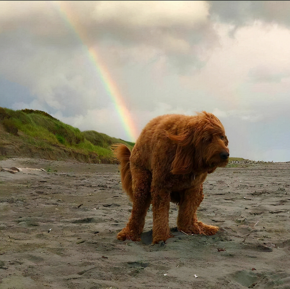 27张“卡到点上”的抓拍照片,每一张都难以复制,堪称经典