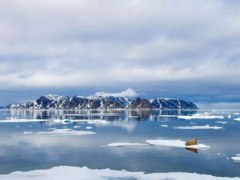 免签 一个对我国永久免签的国家，只要遵守好这两件事，怎么住都可以