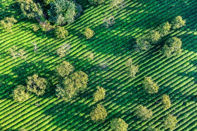 宣城 宣城有处山脉走红，区域内有60座山峰，有皖南“小九华山”之誉