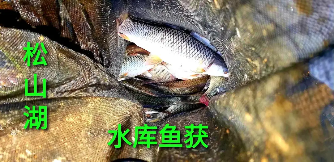 饵料|一个钓鱼人的故事