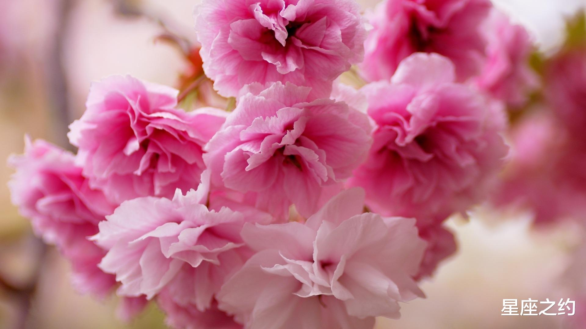 星座之约|9月7日星座运势:巨蟹迎接挑战,天秤循序渐进,双鱼好胜心强