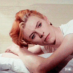 大卫·鲍威|摇滚巨星大卫·鲍伊和绝世名模伊曼的神仙爱情