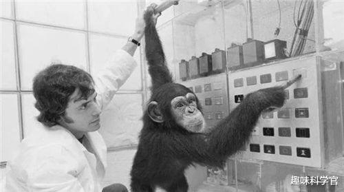 苏联灭绝人性的实验：让人类怀上黑猩猩的孩子？结果令人震撼！