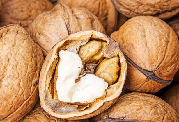 抗生素|散结“高手”被找到，不是冬瓜，敞开吃，甲状腺结节一天比一天小