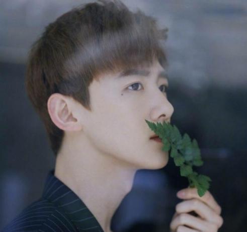 白敬亭|白敬亭的走红，是对娱乐圈最大的“羞辱”