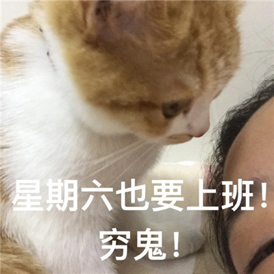 桉月|表情包：有什么八卦让我听听