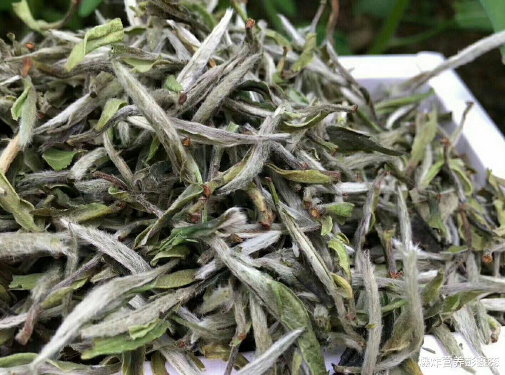 爆炸营养彭鑫蕊|喝茶养生？还要注意保质期：一年是茶，三年是药，七年为宝？
