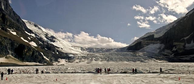 科学家 又一个千年难遇，北极圈气温接近48度，科学家：恐会引发病毒爆发