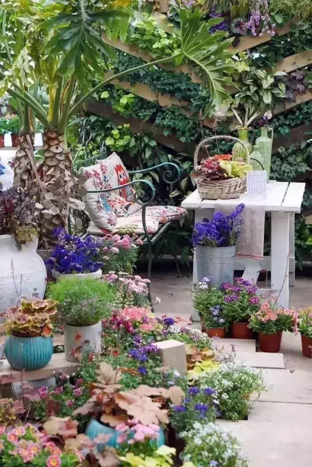 他建了座2亩的鲜花小院,满足你对花园的所有幻想!