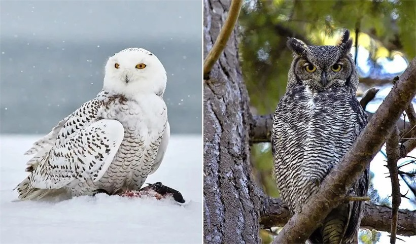 宇宙的终极秘密是什么，唐朝的一本奇书告诉了我们 (1)